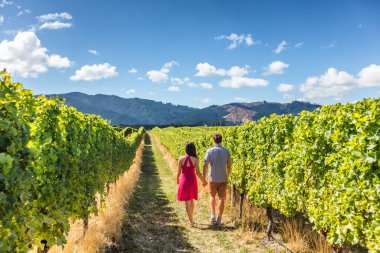 Vineyard couple tourists New Zealand travel visiting Marlborough region winery walking amongst grapevines. People on holiday wine tasting experience in summer valley landscape. clipart