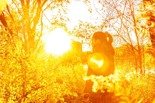 美しい秋の黄色の太陽のフレアの自然と秋の女性森林の背景の上に葉. — ストック写真