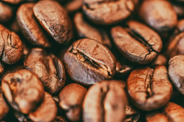 Coffee beans background texture closeup — Stock Photo, Image