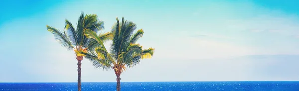 Пляж подорожує літнім плато блакитного океану і пальм, де вирушають тропічні Карибські подорожі. Горизонтальний заголовок копіювання — стокове фото