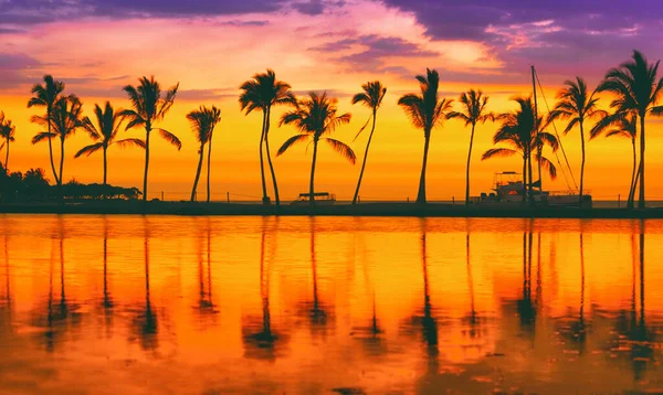 Paraíso playa viaje destino en la isla caribeña, vacaciones de verano sueño fondo de palmeras silueta reflexión en aguas tranquilas mar panorama —  Fotos de Stock