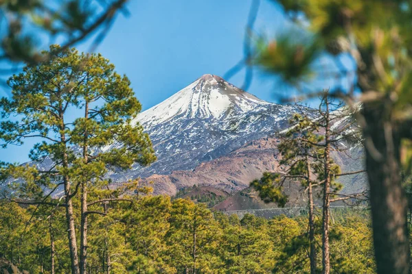 Teide volcano mountain top, Tenerife. Snow capped peak of mount in winter. Pico del Teide, Tenerife, Canary Islands, Spain. Landscape nature outdoor forest background — Stock Photo, Image