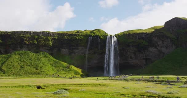 Island Seljalandsfoss in wunderschöner isländischer Landschaft — Stockvideo