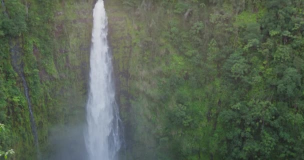 Гавайский водопад Акака - Гавайский водопад на острове Биг-Айленд, Гавайи, США. Красивая нетронутая природа пейзаж, показывающий знаменитый водопад, Акака падает в пышные пейзажи. КРАСНЫЙ ЭПИК — стоковое видео