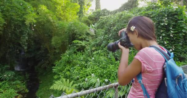 Turista no Havaí tirando fotos da floresta tropical enquanto caminha pelo famoso Akaka Falls State Park no Havaí, Big Island, EUA. Mulher viajante usando câmera DSLR em viagem. Movimento lento — Vídeo de Stock