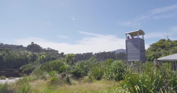 Strand und Sumpfwald in Neuseeland, Ship Creek an der Westküste Neuseelands — Stockvideo