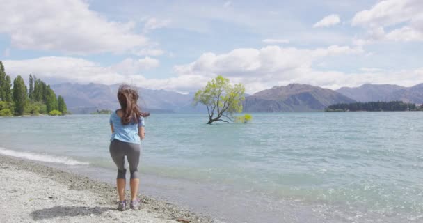 Nueva Zelanda viaje feliz turista mujer saltar de alegría en Wanaka lago árbol — Vídeos de Stock