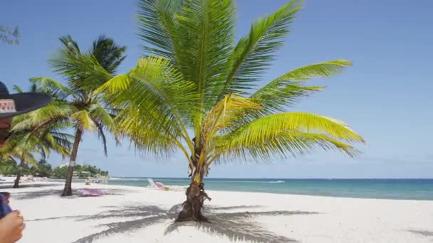 Donna in spiaggia a piedi con cappello e asciugamano per prendere il sole — Video Stock