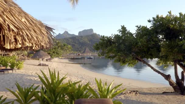 HLEDAT LOOP VIDEO: Pláž na Bora Bora prázdninový ráj ostrov hotel resort — Stock video