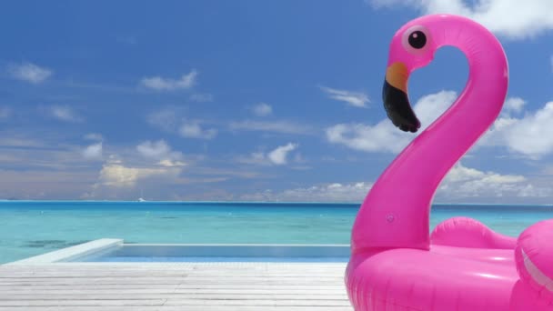 Bezproblemowy film z pętli: Basen Plaża Podróże wakacyjne różowy flamingo pływak zabawka przy basenie — Wideo stockowe