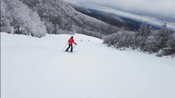 Mulher esquiadora. Esqui alpino esquiador indo dowhill contra neve coberto árvores fundo no inverno Mulher em casaco de esqui vermelho. Mont Tremblant, Quebec, Canadá — Vídeo de Stock