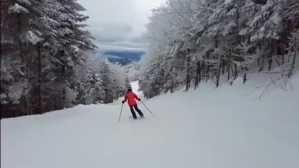 Bonito esqui idílico montanha inverno floresta neve paisagem. Esqui nas pistas de esqui em férias de viagem de férias de esqui. Mont Tremblant, Quebec, Canadá — Vídeo de Stock