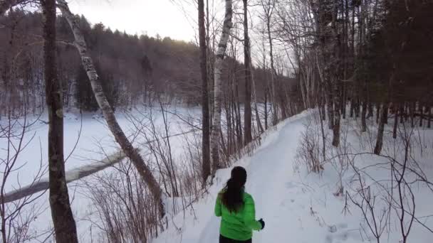 Woman winter running in snow in forest. Young female runner cross country trail running in cold winter forest landscape while snowing — Stock Video