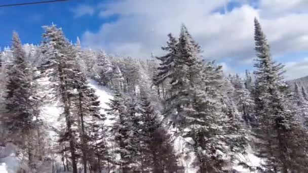 Impresionantes vistas del telesilla y nieve en polvo bajo el sol de la mañana en la estación de esquí. Cielo azul y bosque invernal con nieve blanca. Tiempo perfecto para esquiar y hacer snowboard. — Vídeo de stock