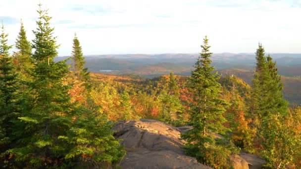 Autunno Autunno Fogliame Foresta Colorata in Montagna Natura Paesaggio a Mont Tremblant, Laurenziani, Quebec, Canada — Video Stock