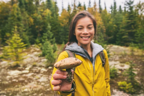 Сбор грибов девушка сбор съедобных диких грибов boletus в лесу природы открытый осенью деятельности — стоковое фото