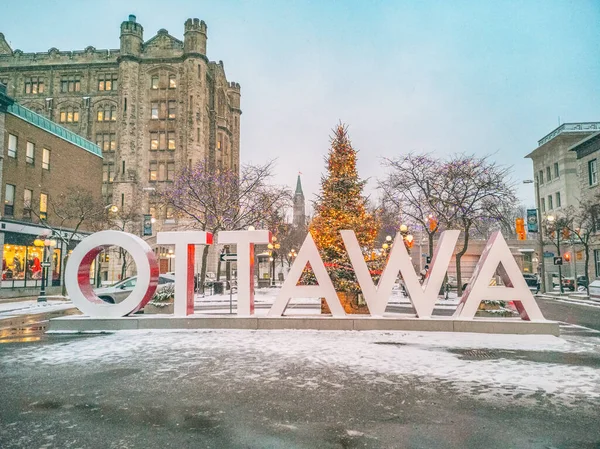 Marché de Noël d'Ottawa Destination touristique hivernale de la ville canadienne. Attraction touristique historique à la capitale du Canada avec le Parlement en arrière-plan. Image de téléphone portable — Photo