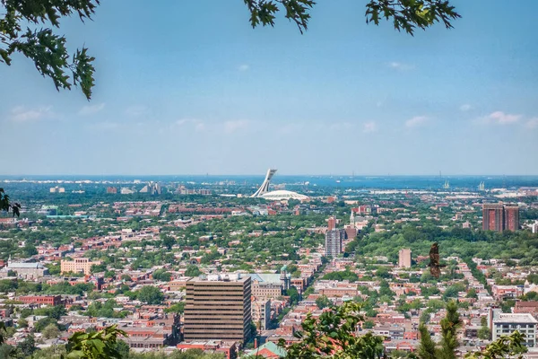Montréal città estate vista dello stadio dalla cima del Monte Reale, sfondo quartiere. Fotografia mobile scattata con telefono — Foto Stock