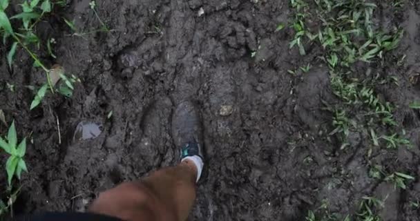 Грязные ботинки для прогулок по тропе в грязи. ПОВ мужских походных сапог и ног, шагающих в погружениях — стоковое видео