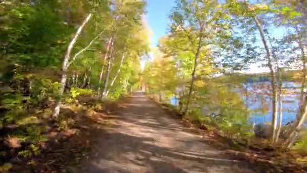 Cores de outono. Folhas de outono coloridas no caminho da floresta. Trilha de bicicleta, caminhada e corrida. Dos Laurentianos, Quebec, Canadá — Vídeo de Stock