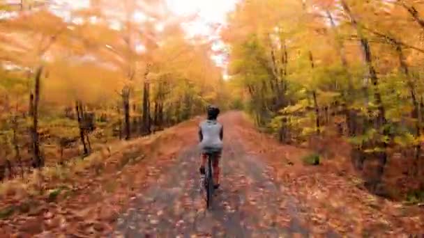Γυναίκα δρόμο χαλίκι ποδηλασία το φθινόπωρο στο δασικό μονοπάτι im τη βροχή με πολύχρωμα πορτοκαλί φύλλα autum κίτρινο. Ποδηλάτης δρόμου ποδήλατο ιππασίας σε φυλλώματα πτώση — Αρχείο Βίντεο