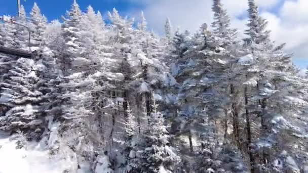 Ski mengangkat lanskap musim dingin dengan salju dan pohon. Indah langit biru cuaca pada pefect hari untuk ski atau snowboarding di ski resort dengan klasik ski chairlift. — Stok Video