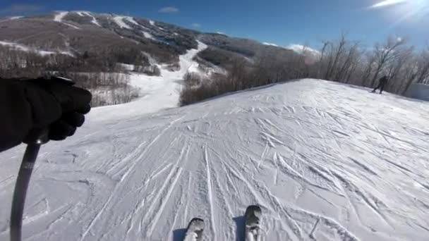 Sci POV. Sci alpino - sciatore che va dowhill contro gli alberi innevati e fondo montagna sci in inverno. Mont Tremblant, Quebec, Canada — Video Stock