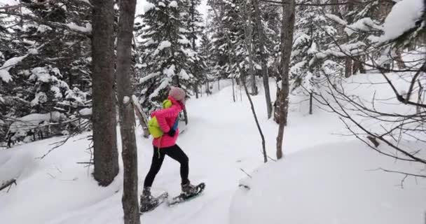 Las personas raquetas de nieve en el bosque de invierno con árboles cubiertos de nieve en el día nevado. Mujer en caminata en la nieve senderismo en raquetas de nieve vida saludable estilo de vida activo al aire libre — Vídeos de Stock