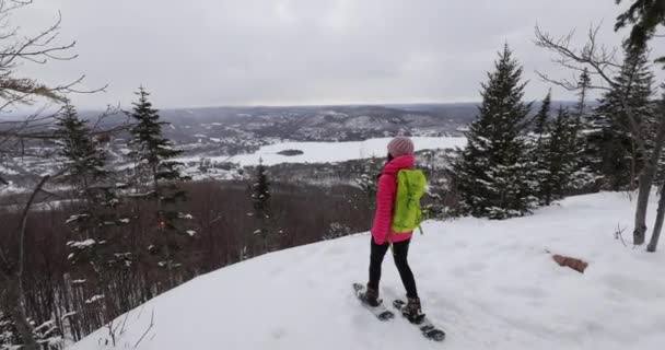 Ciaspolate nella foresta invernale con alberi innevati nelle giornate innevate. Donna in escursione nella neve escursioni con le ciaspole vivere sano stile di vita attivo all'aperto. Mont Tremblant, Laurenziani, Quebec, Canada — Video Stock