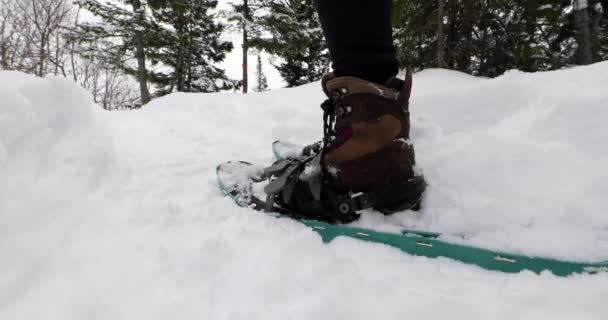 Uzun yürüyüşe çıkan kimse kış Dağları snowshoeing — Stok video