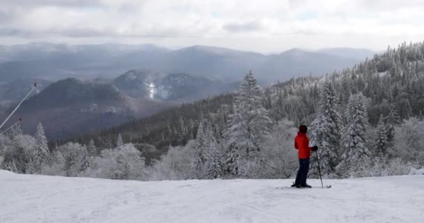 Skidåkning - kvinna på skidor. Alpin skida - skidåkare tittar på bergsutsikt mot snötäckta träd Ski på vintern på perfekt pudersnö njuter av utsikten över natur och landskap — Stockvideo