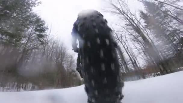 冬天骑着肥壮的自行车骑车.在冬天的雪地里骑自行车的胖女人.在雪地里近距离拍摄肥胖轮胎车轮的动作镜头.生活在积极的冬季运动生活方式中的人. — 图库视频影像