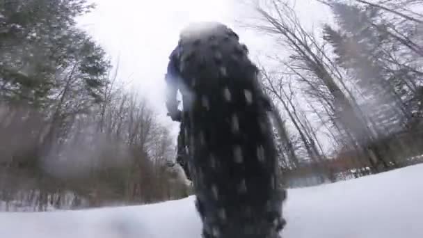 Andare in bicicletta in inverno con la fat bike. Donna ciclista grasso in bicicletta sulla neve in inverno. Primo piano colpo di pneumatici grassi ruote della bici nella neve. Persone che vivono uno stile di vita attivo sport invernali. — Video Stock