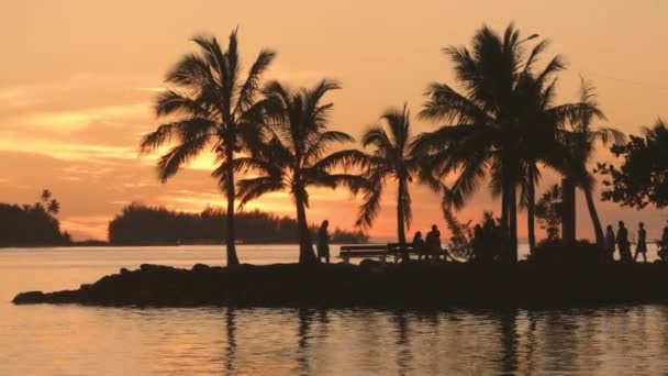 Bora Bora Polinésia Francesa Ilha do Pacífico Sul Pôr do sol com palmeiras pessoas — Vídeo de Stock