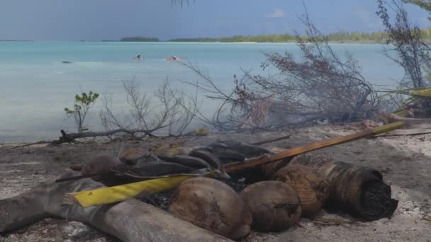 Pescado polinesio barbacoa tradicional francesa Polinesia comida en la playa — Vídeo de stock