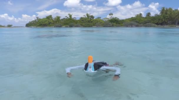 Snorkel Mulher snorkeling em cara cheia snorkeling máscara. Snorkel feminino no mar — Vídeo de Stock