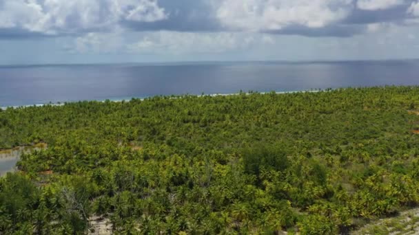 Drone video atolu Fakarava wyspa motu i w Polinezji Francuskiej Tahiti — Wideo stockowe