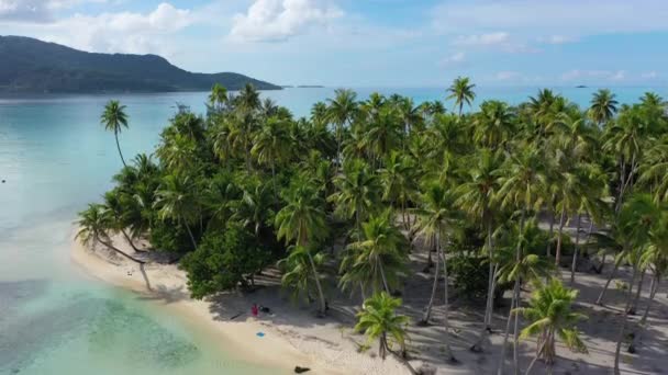 Tropiskt paradis - Flygdrönare video från Franska Polynesien, Tahiti — Stockvideo