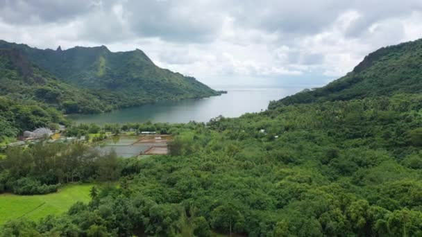 Drohnenaufnahme der Bucht von Opunohu auf Moorea, Französisch-Polynesien, Tahiti — Stockvideo