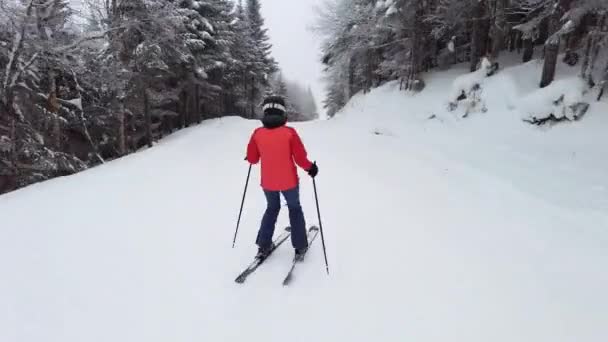 Vacker skidåkning idylliska berg vinter skog snö landskap. Skidåkning i skidbacken på skidsemester resa semester — Stockvideo