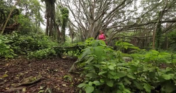 Trail Runner - Frau läuft im Wald bei Banyan-Baumtraining und Workout — Stockvideo