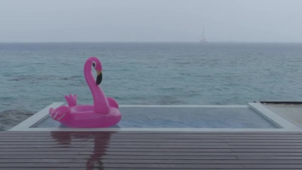 Regen op reis vakantie - grappige video van flamingo drijven in luxe zwembad tijdens het regenen en slecht weer op vakantie — Stockvideo