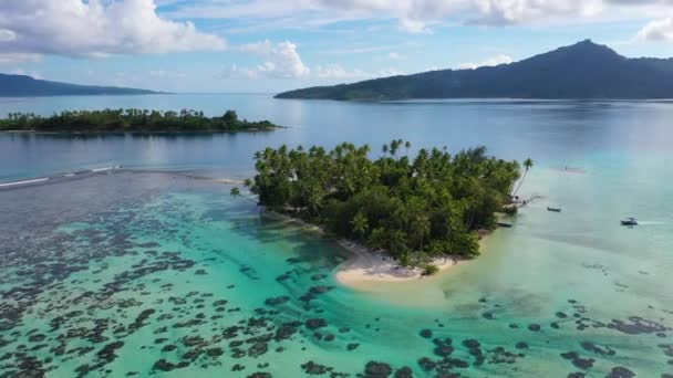 Bora Bora Drone aerial video of small Island paradise. Travel vacation icon of beach private island motu with palm trees. Turquoise crystal lagoon ocean water on Bora Bora, French Polynesia. — Stock Video