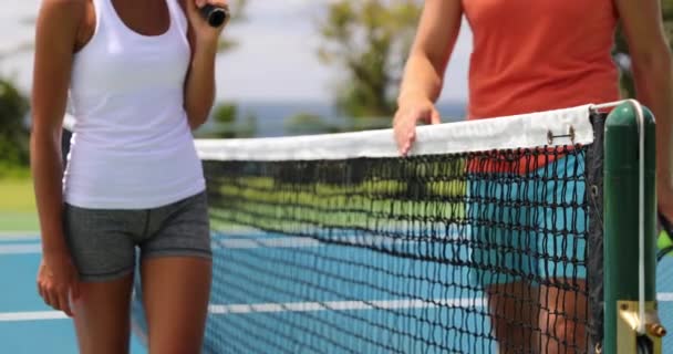 Tenis - tenisté nerozpoznatelní na síti po tenisovém zápase na tenisovém kurtu — Stock video