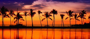 Beach paradise sunset clipart