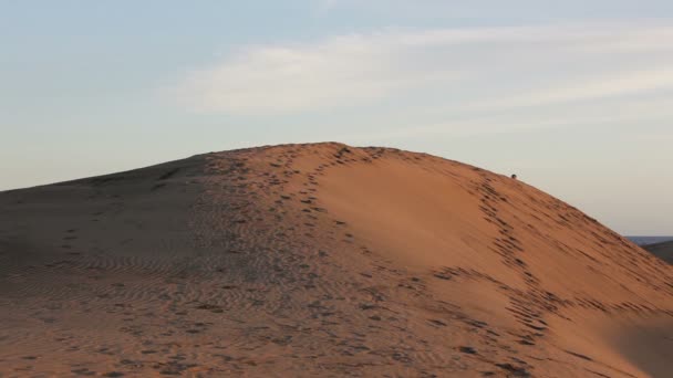 Running man in desert — Stock Video