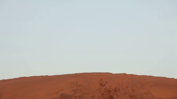 Бегущий человек в пустыне — стоковое видео