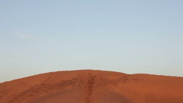 Correre uomo nel deserto — Video Stock