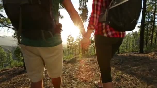 Caminhadas casal — Vídeo de Stock