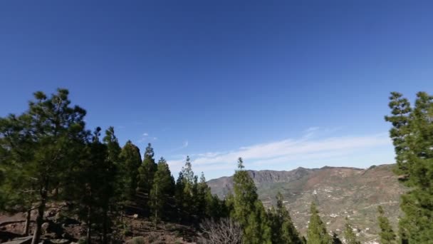 Roque Nublo teken — Stockvideo